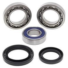DIFFERENTIAL SEAL ONLY KIT ALL BALLS RACING DB25-2114-5