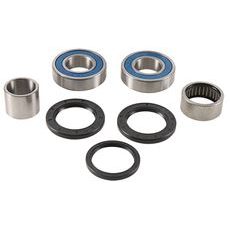 WHEEL BEARING KIT ALL BALLS RACING 25-1789 WB25-1789 ZADAJ