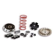 VARIATOR MULTIVAR MALOSSI 5113161