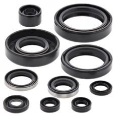 ENGINE OIL SEAL KIT WINDEROSA 822183