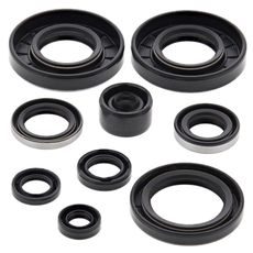 ENGINE OIL SEAL KIT WINDEROSA EOSK 822292