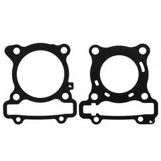 CYLINDER GASKET SET RMS 100681230