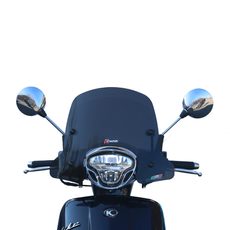 WINDSCREEN FACO 267008313 SMOKE 360X490