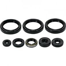 ENGINE OIL SEAL KIT WINDEROSA EOSK 822403