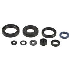 SET TESNIL MOTORJA ZA OLJE (ENGINE OIL SEALS KIT) ATHENA P400250400137