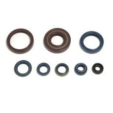 SET TESNIL MOTORJA ZA OLJE (ENGINE OIL SEALS KIT) ATHENA P400220400128