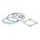 Gasket kit Malossi Ø 47 pin Ø 12 H2O 119842