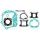 Set tesnil motorja RMS 100689280