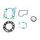 TOPEND set tesnil za motor ATHENA P400510600129