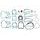 Celoten set tesnil za motor ATHENA P400480850127