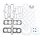 Celoten set tesnil za motor ATHENA P400250850982