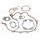 Celoten set tesnil za motor ATHENA P400480850380