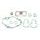 Celoten set tesnil za motor ATHENA P400510850262