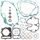Complete Gasket Kit with Oil Seals WINDEROSA CGKOS 811829