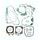 Celoten set tesnil za motor ATHENA P400210850179