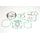 Celoten set tesnil za motor ATHENA P400485850253/1