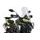 Windscreen PUIG TOURING 22585W prozorna
