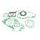 Celoten set tesnil za motor ATHENA P400510850128