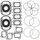 Complete Gasket Kit with Oil Seals WINDEROSA CGKOS 711196