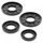 Oil seal set WINDEROSA 622115
