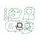 Celoten set tesnil za motor ATHENA P400427850015
