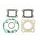 TOPEND set tesnil za motor ATHENA P400210600081