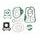 Celoten set tesnil za motor ATHENA P400485850119
