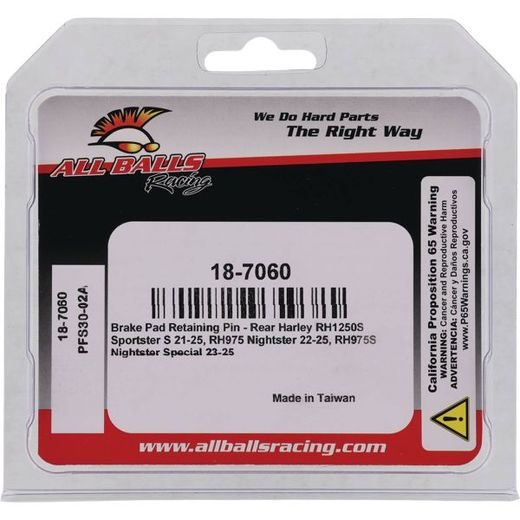 CALIPER BOLT KIT ALL BALLS RACING 18-7060