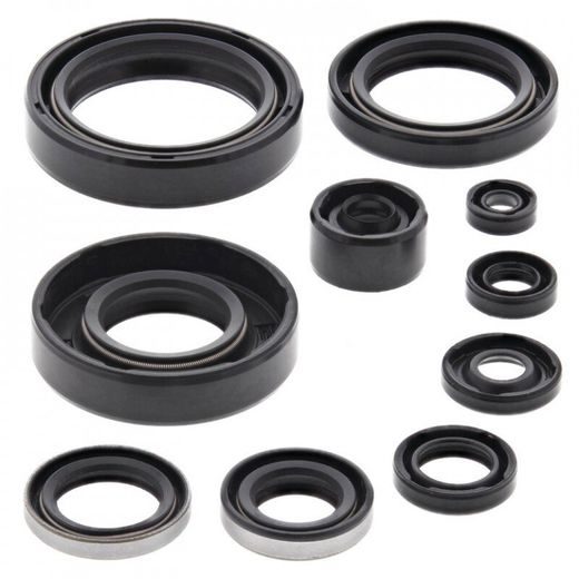 ENGINE OIL SEAL KIT WINDEROSA 822298