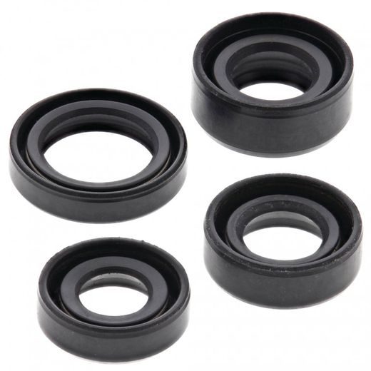 ENGINE OIL SEAL KIT WINDEROSA 822306
