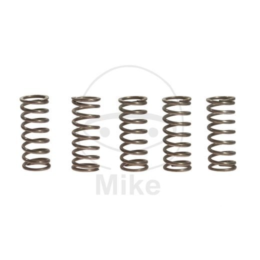 CLUTCH SPRING KIT EBC CSK066 5