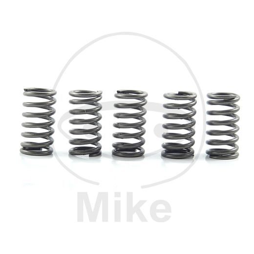 CLUTCH SPRING KIT EBC CSK118 5