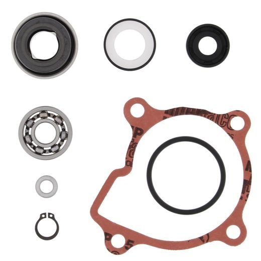 WATER PUMP REBUILD KIT WINDEROSA WPRK 821865