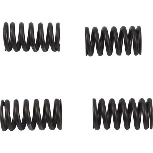 VALVE SPRING KIT HOT CAMS VSK2002