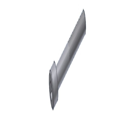 SCREW MIVV 50.73.074.1 M8 X 50 (TCEI)