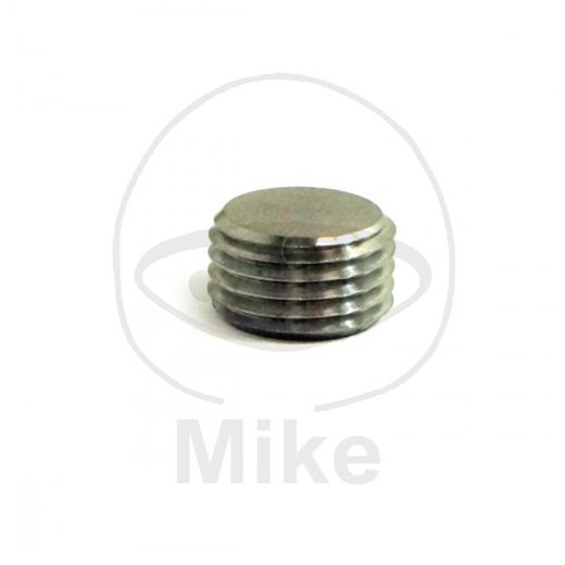 SCREW PLUG JMP FOR SLIDE PIN STAINLESS STEEL