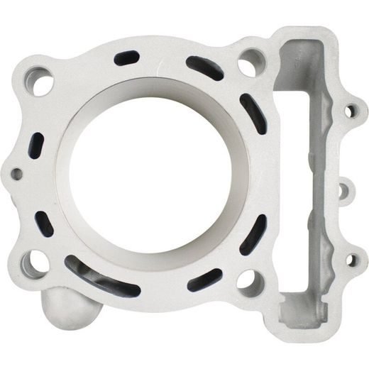 STANDARD BORE HC CYLINDER KIT CYLINDER WORKS CW30016K01HC
