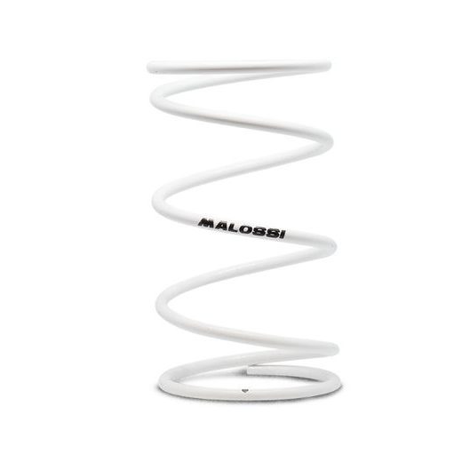 SPRING MALOSSI 2911478.W0