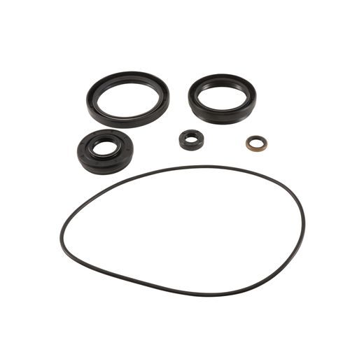 DIFFERENTIAL SEAL ONLY KIT ALL BALLS RACING 25-2120-5 DB25-2120-5 SPREDAJ