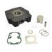 CILINDER KIT ATHENA 064600 BIG BORE D 47 MM, 65 CC, CAST IRON CYLINDER