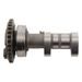 CAMSHAFT EXHAUST HOT CAMS 4279-1E