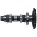 CAMSHAFT UNICAM HOT CAMS 1319-2