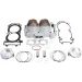 STANDARD BORE CYLINDER KIT CYLINDER WORKS 60004-K02-1