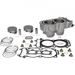 STANDARD BORE CYLINDER KIT CYLINDER WORKS CW60007K02-1