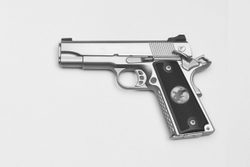 NIGHTHAWK CUSTOM Lady Hawk