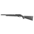 Ruger 10/22 TD Lite