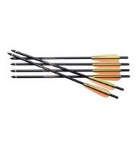 Šíp duralový Crosman CenterPoint 16"