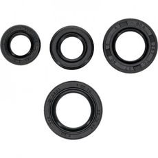 SADA GUFER MOTORU WINDEROSA EOSK 822400