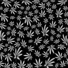 BIKERSMODE ŠÁTEK BAVLNA MARIÁNKA