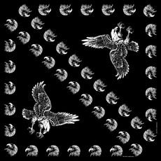 BIKERSMODE ŠÁTEK BAVLNA OREL BLACK